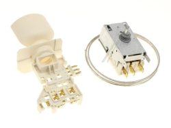 C00311069 481228238175 TERMOSTAT