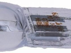 00189351 LAMPE-HALOGEN 300°C,  STIFT-/ STECKSOCKEL G4