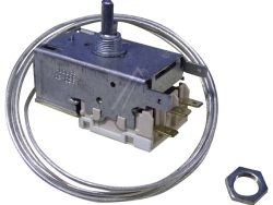 4502011100 C00864891 TERMOSTAT