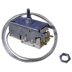 4502011100 C00864891 TERMOSTAT