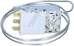 4502011100 C00864891 TERMOSTAT