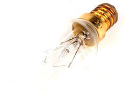 8583192560073 BULB,40W, T29