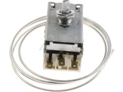 4502011100 C00864891 TERMOSTAT