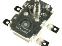 10001886 TERMOSTAT