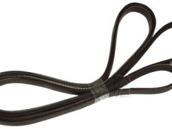 1975H7 POLY-V REMEN