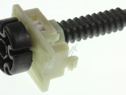 403782 REGELBAR FUSS