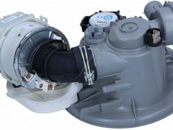 1511900200 C00865716 SUMPFGRUPPE