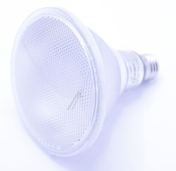LED PAR3812030 LED PAR38 DIM P 15.2W 927 E27