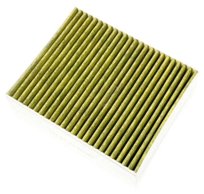 LC68BD542 11033934 CLEAN AIR PLUS GERUCHSFILTER (ERSATZ)