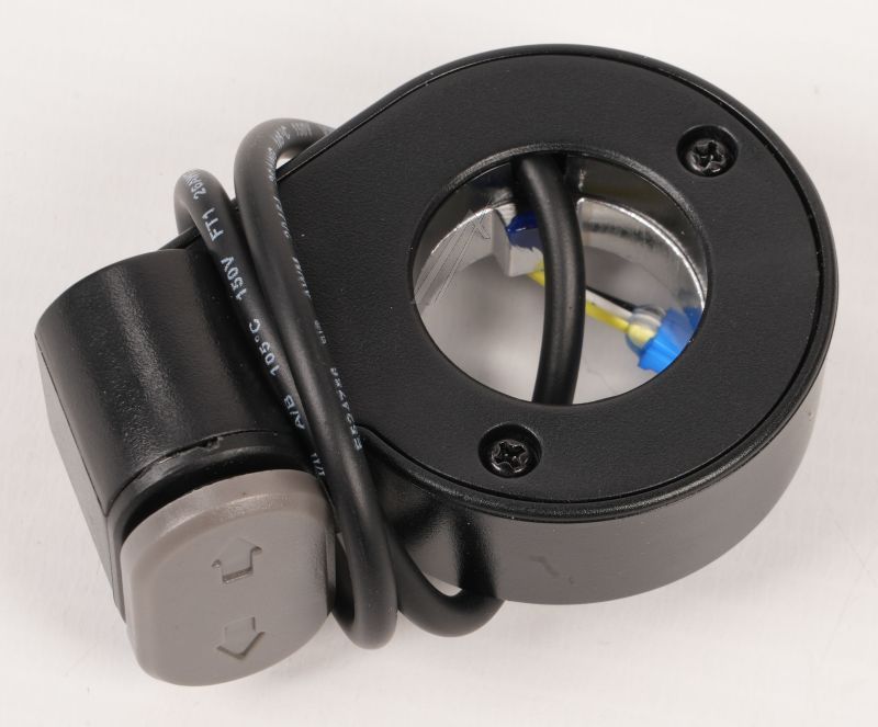 20020100002284 BLINKERSCHALTER